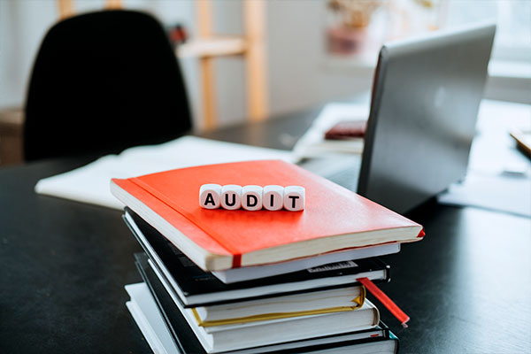 Imagen de Curso en Elaboración de Informes y Normas de Auditoría (NIA-ES-SP)