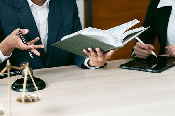 Imagen de Curso universitario de especialización en Dirección de Procesos Especiales: Familia, Capacidad y Menores