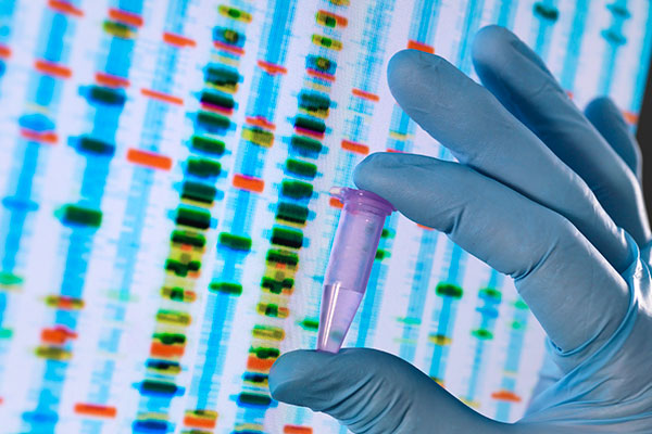 Imagen de Curso en Genética Forense: Análisis e Interpretación de Perfiles de ADN