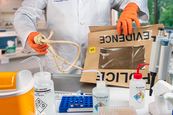 Imagen de Curso en Soporte Logístico en la Recogida y Conservación de Evidencias