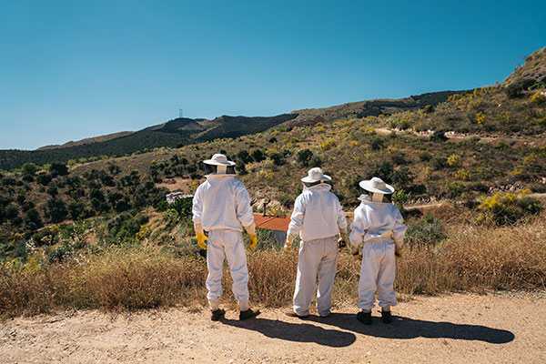 Imagen de Curso en Seguridad Ciudadana y Control de Masas en Entornos Rurales