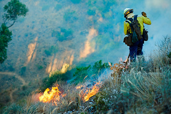 Imagen de Curso de desarrollo profesional en Investigación de Causas en Incendios Forestales