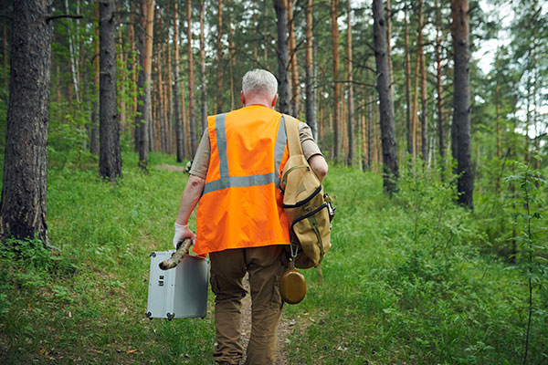Imagen de Curso en Detección y Control de Plagas y Enfermedades Forestales