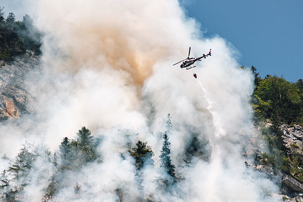 Imagen de Curso en Coordinación de Medios Aéreos y Terrestres en Tareas de Extinción