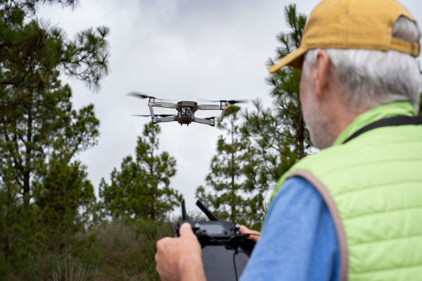 Imagen de Curso en Normativa y Uso de UAS/Drones en Vigilancia Forestal