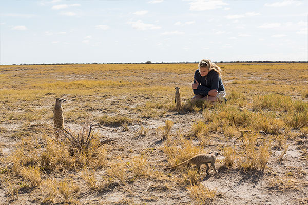 Imagen de Curso de Desarrollo Profesional en Seguimiento y Conservación de Especies Protegidas y Amenazadas