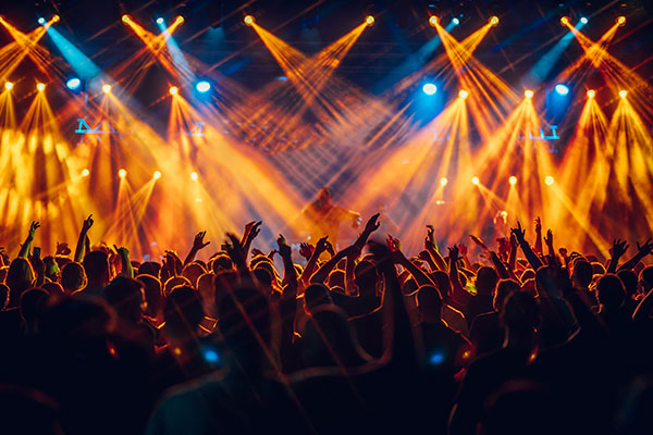 Imagen de Curso en Organización de Dispositivos de Riesgo Previsible en Eventos Multitudinarios