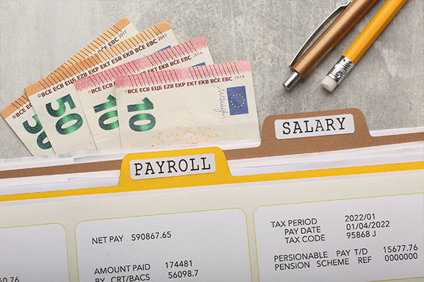 Imagen de Curso de desarrollo profesional en Gestión Práctica de Nóminas y Seguridad Social en la Administración