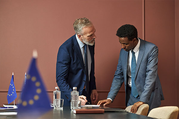 Imagen de Curso en Gestión y Ejecución de Fondos Europeos (Next Generation EU)