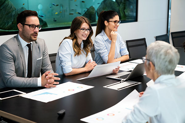 Imagen de Curso en Auditoría de Procesos y Control de Calidad en la Gestión Pública