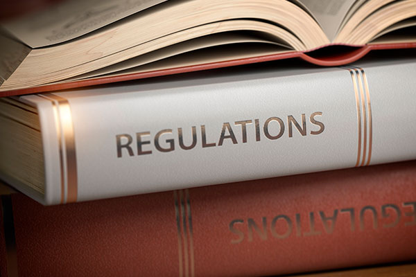 Imagen de Curso en Ley Reguladora de las Bases del Régimen Local (LRBRL): Aplicación Práctica