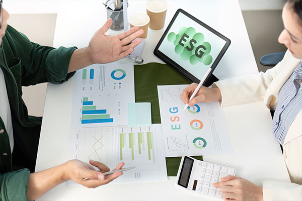 Imagen de Curso en Competencias Municipales y Sostenibilidad Financiera de las Entidades Locales