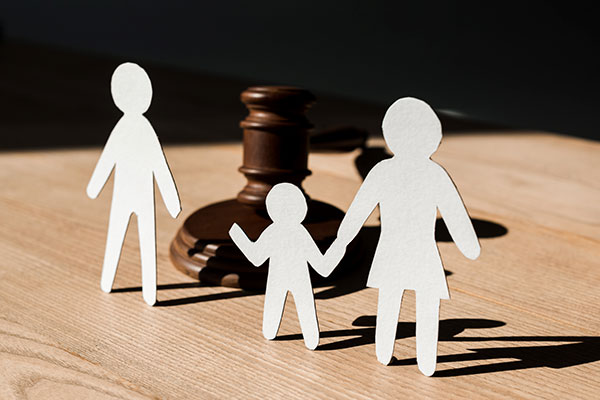 Imagen de Curso en Ley de Servicios Sociales: Aplicación Práctica y Catálogo de Prestaciones