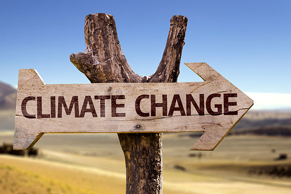 Imagen de Curso en Impacto del Cambio Climático y Sostenibilidad en Bienes Culturales