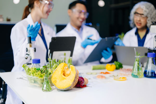 Imagen de Curso de Desarrollo Profesional en Inspección de Sanidad Ambiental y Seguridad Alimentaria (APPCC)