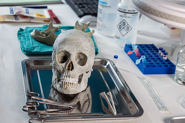 Imagen de Curso en Técnicas de Autopsia Clínica y Conservación de Cadáveres