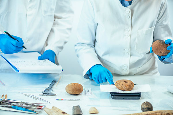 Imagen de Curso en Macroscopía y Tallado de Piezas Quirúrgicas Básicas