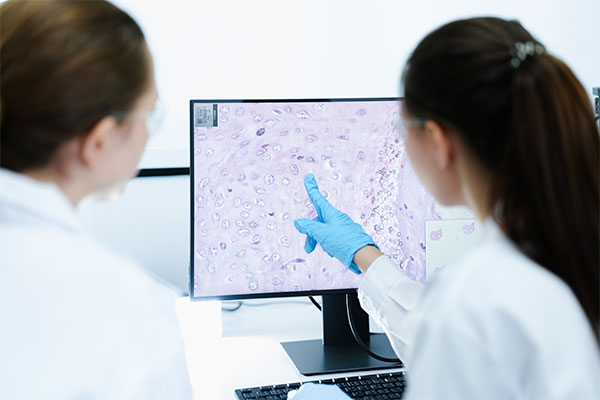 Imagen de Curso en Inmunohistoquímica y Biología Molecular Aplicada a la Anatomía Patológica